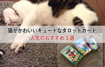 猫がかわいいキュートなタロットカード人気のおすすめ３選