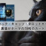 【ブラック・キャッツ・タロットカード】黒猫がテーマの78枚のカード